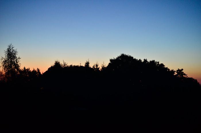 Au petit jour, photo de David Gabriel Fisher