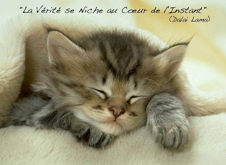 Facebook mystique by Serena