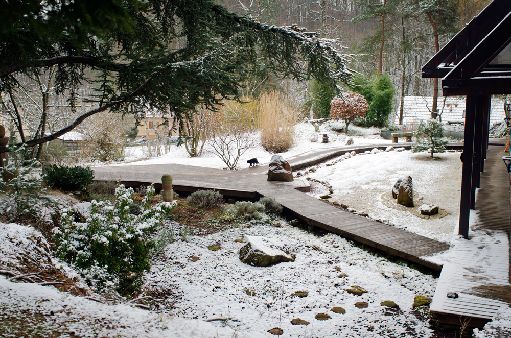 Photo du jardin du monastère, David Gabriel Fisher