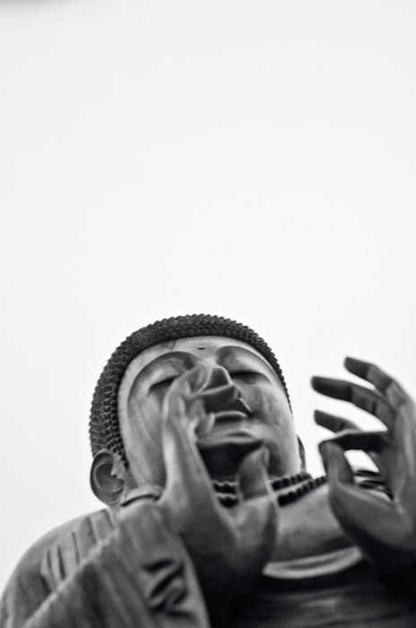 Bouddha - Photo de David Gabriel Fisher