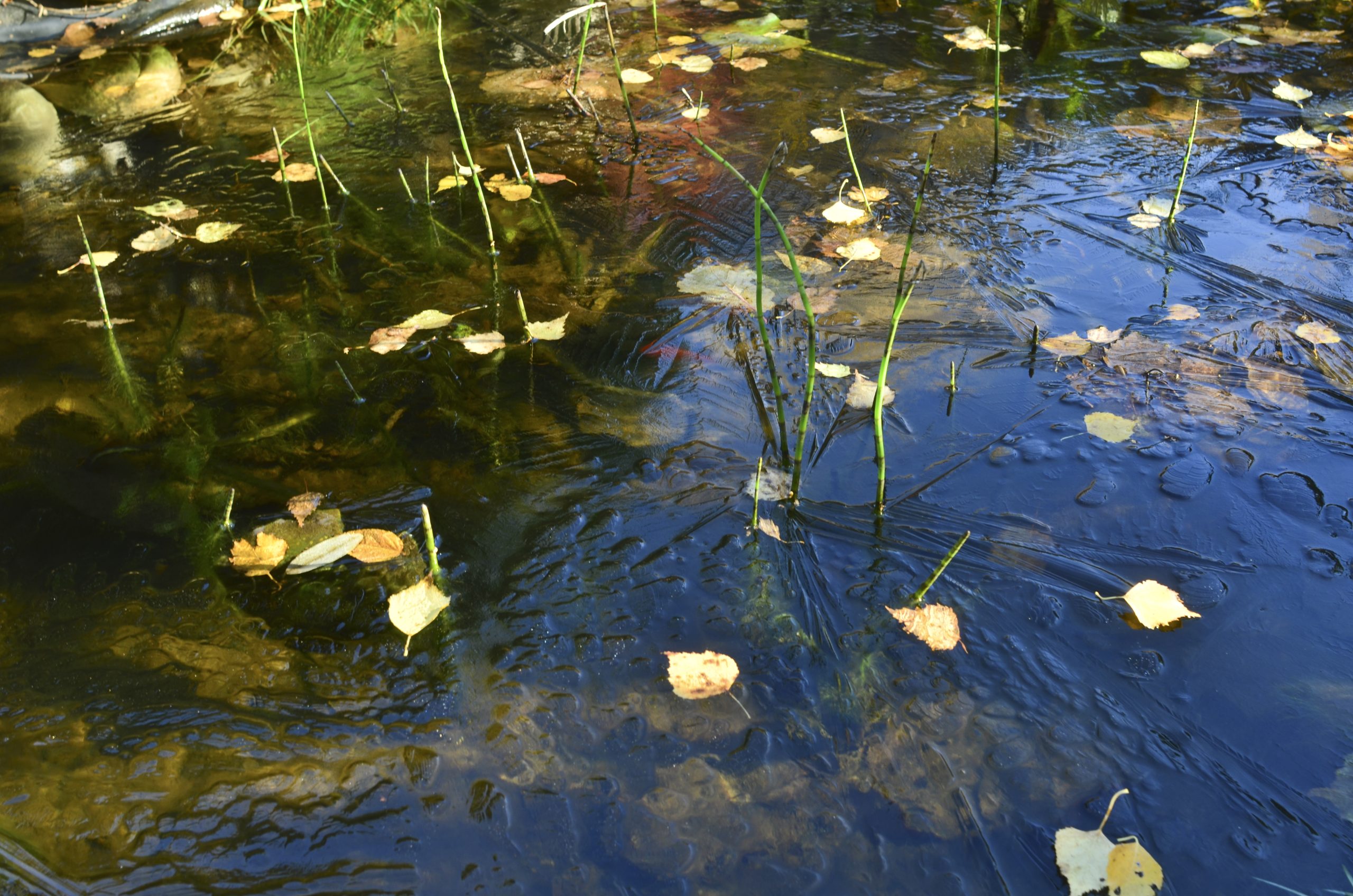 Eau - Photo de David Gabriel Fisher