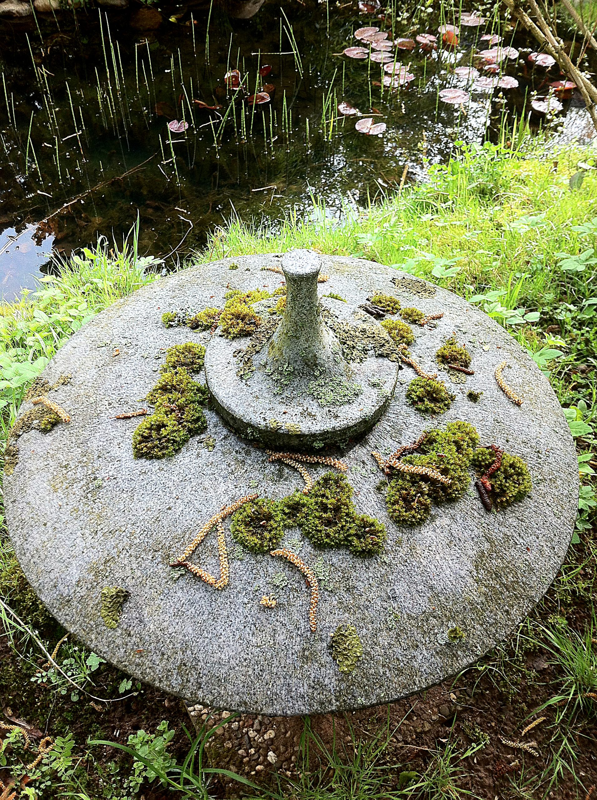 Photo Photo François Busson