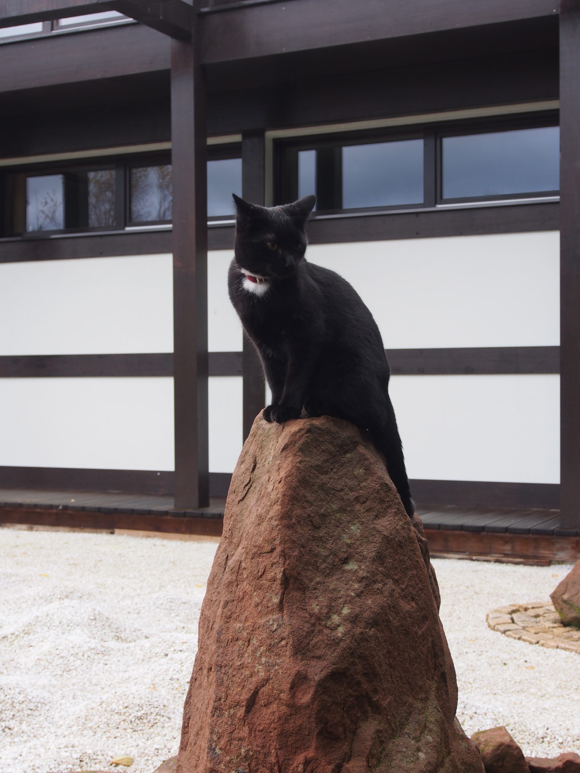 jjojo sur une pierre du monastère