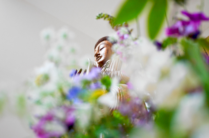 dgf-enflowered-buddha