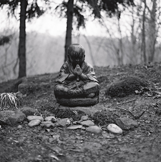 bouddha mains jointes nature